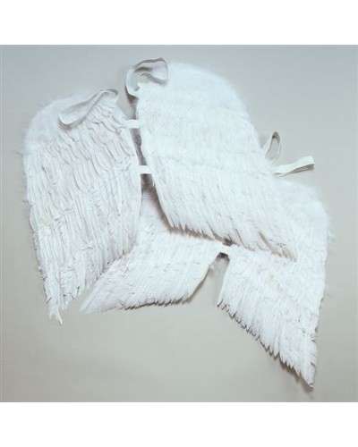 Wings from gull - 56 cm