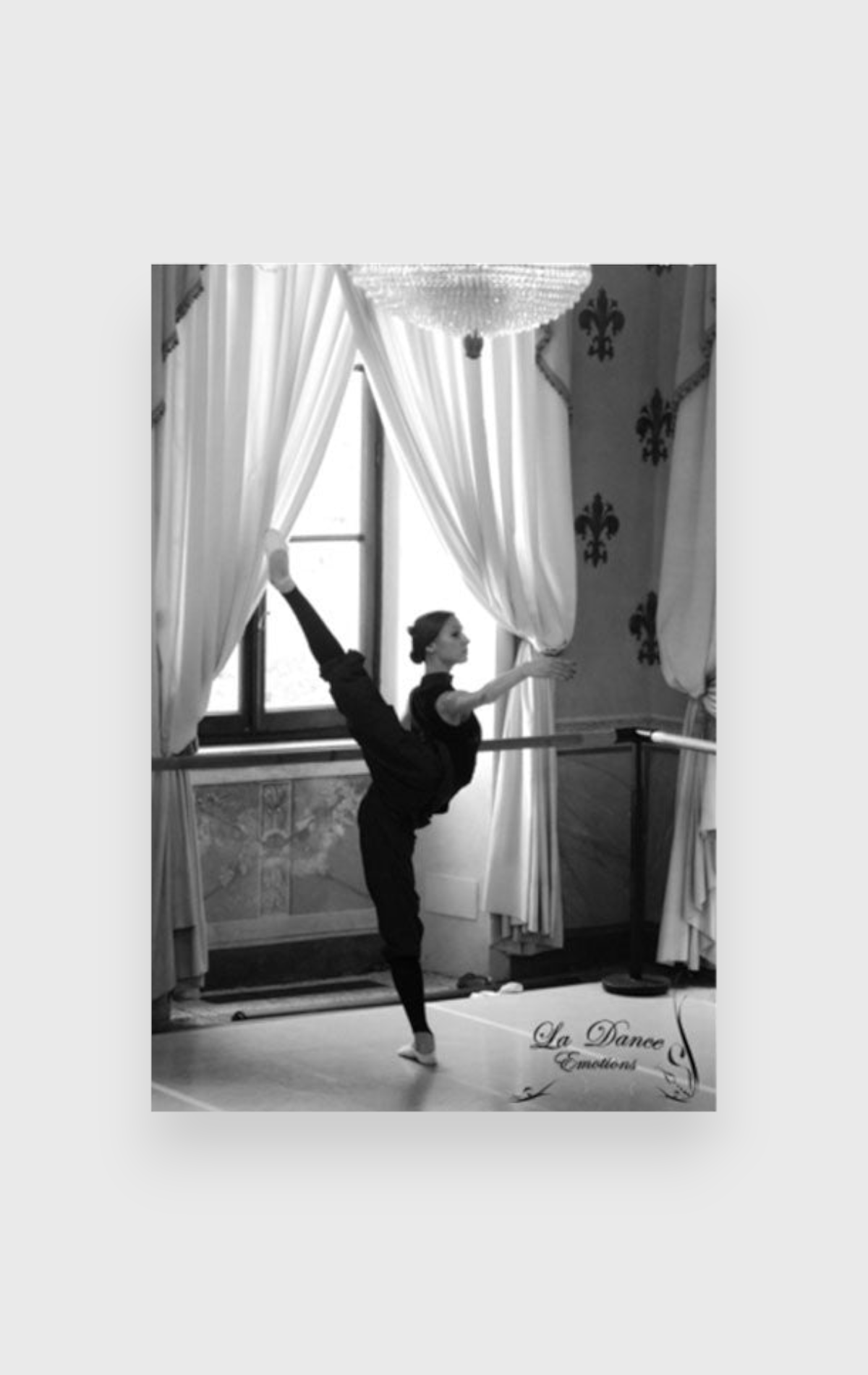 Poster La Dance Emotions P16