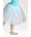 Tutù Degas con Passamaneria Paillettata T454
